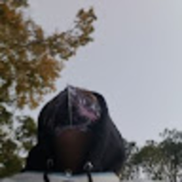 seanblitz